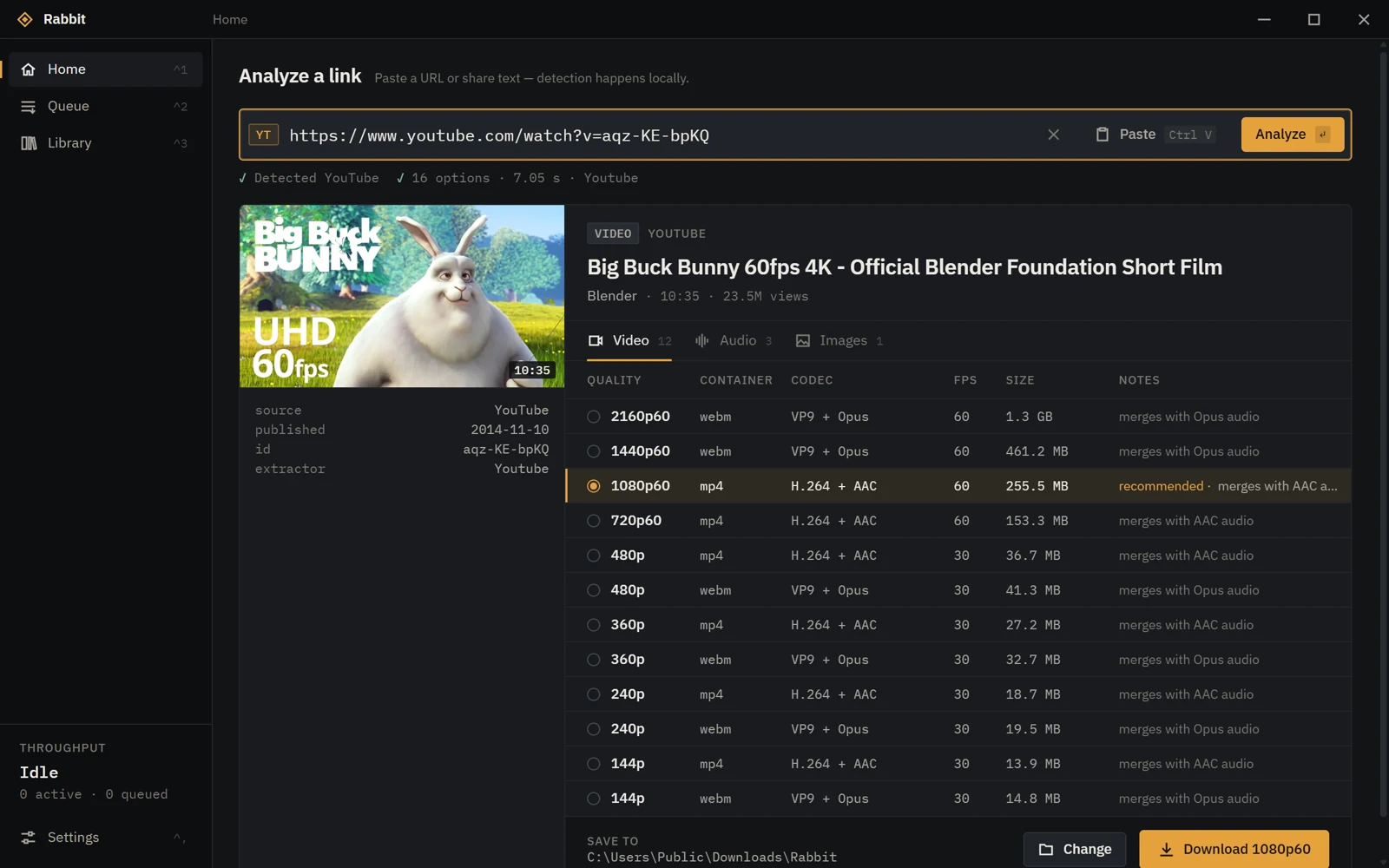 Rabbit analyzing a YouTube link: twelve video options from 2160p60 down to 144p, with container, codec, frame rate and size for each, and 1080p60 H.264 recommended.